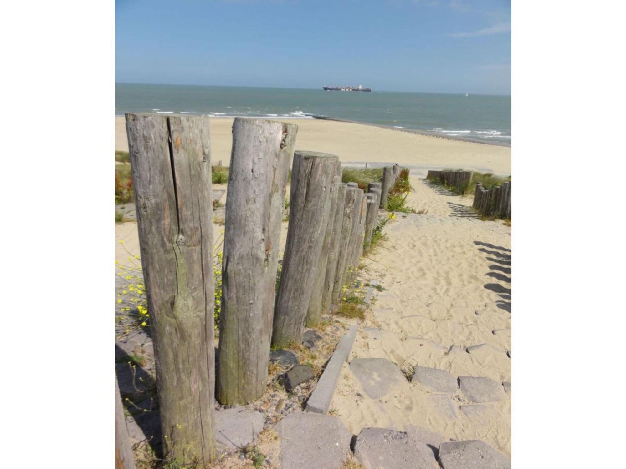 Lively In Oostkapelle